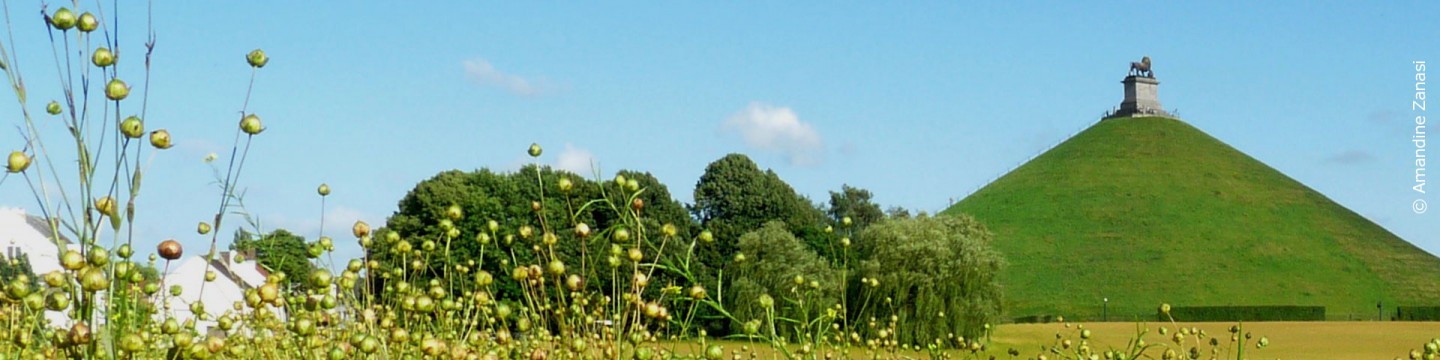 Löwenhügel